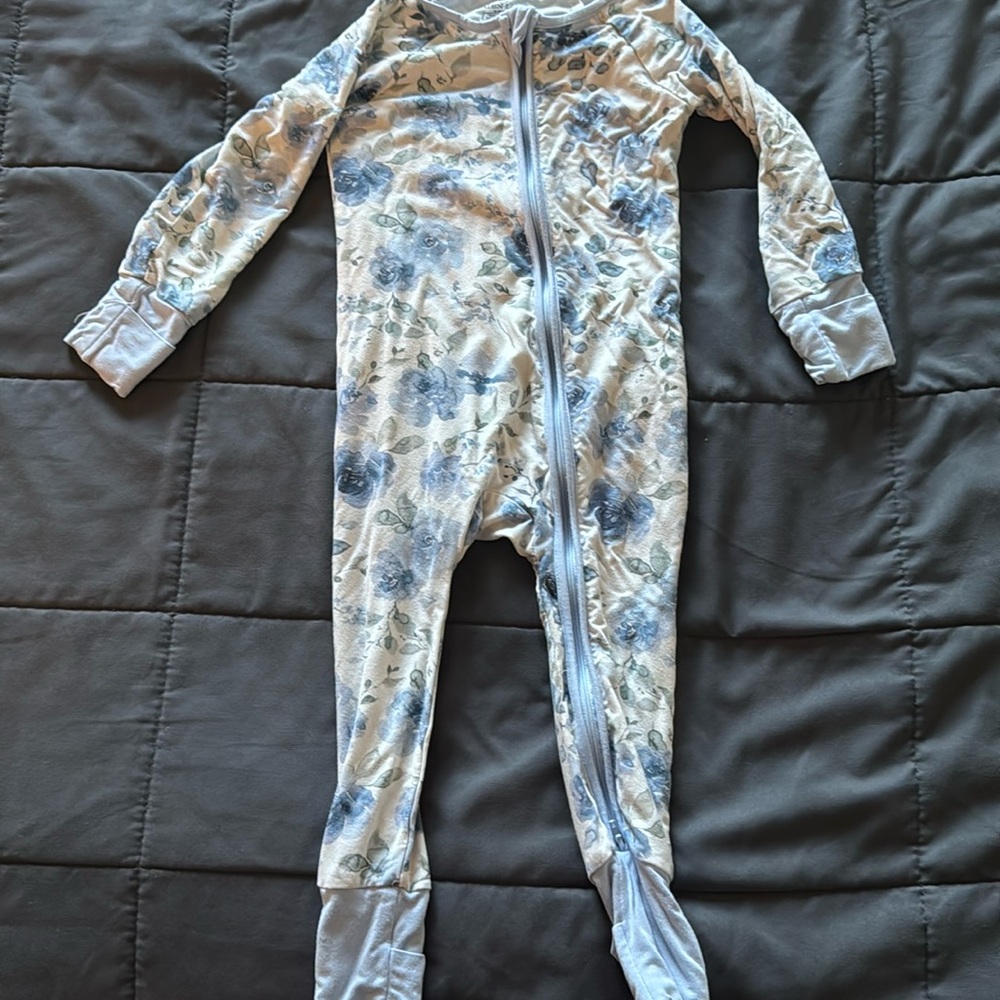Caden Lane Zippy Blue Floral
